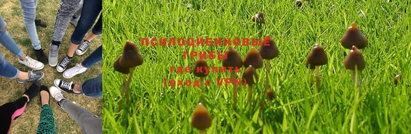 spice Медногорск