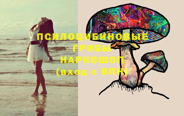 тгк Мегион